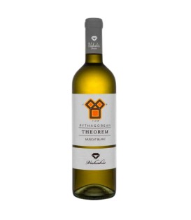 Vakakis Theorem White 2020